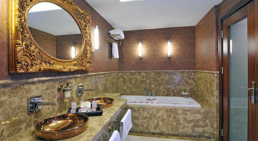 DOUBLETREE BY HILTON VAN