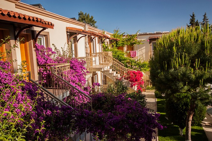 MOONSHİNE HOTEL SUİTE