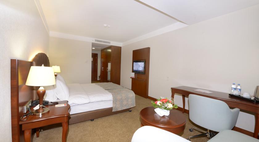 RAMADA PLAZA BY WYNDHAM MALATYA ALTIN KAYISI