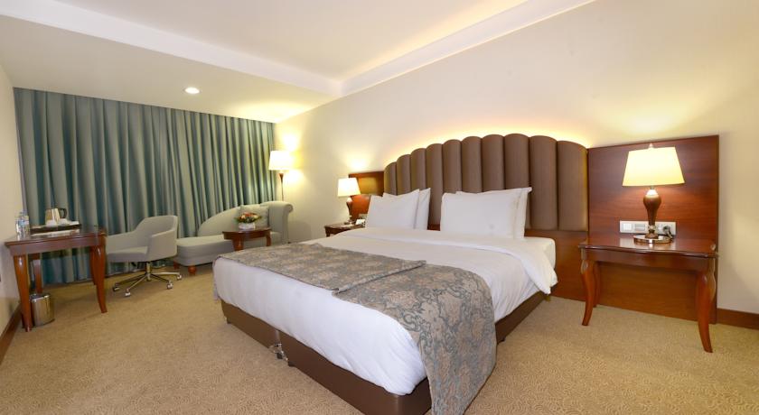 RAMADA PLAZA BY WYNDHAM MALATYA ALTIN KAYISI