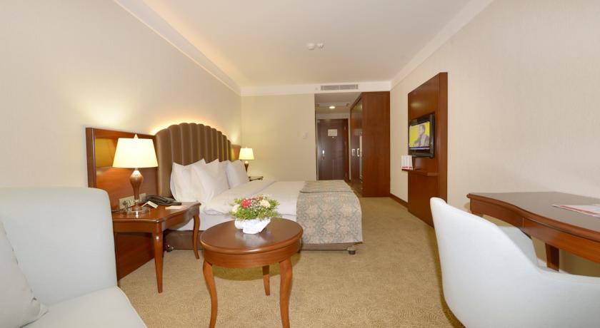 RAMADA PLAZA BY WYNDHAM MALATYA ALTIN KAYISI