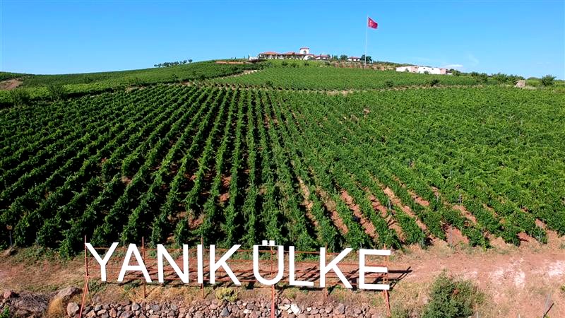 VİLLA ESTET BAĞ OTELİ