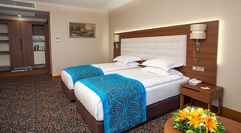 TEYMUR CONTİNENTAL HOTEL