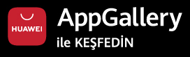 google-gallery