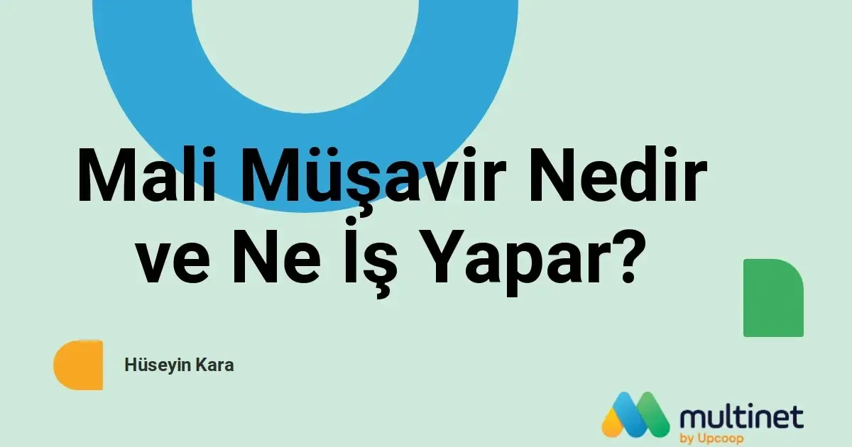 Mali Müşavir Ne Demek?