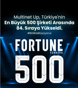 Fortune 500 - 2025