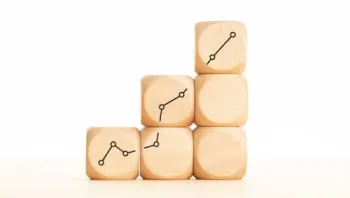 sermaye şirketi nedir