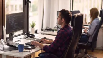 serbest bölge teşviki